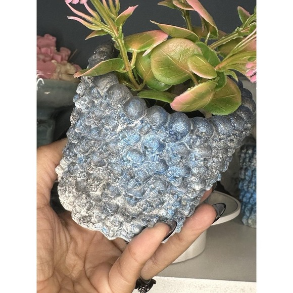 The Unbranded Brand Other - Skull Concrete Plant Pot Blue Black Handmade Cement Succulent Planter